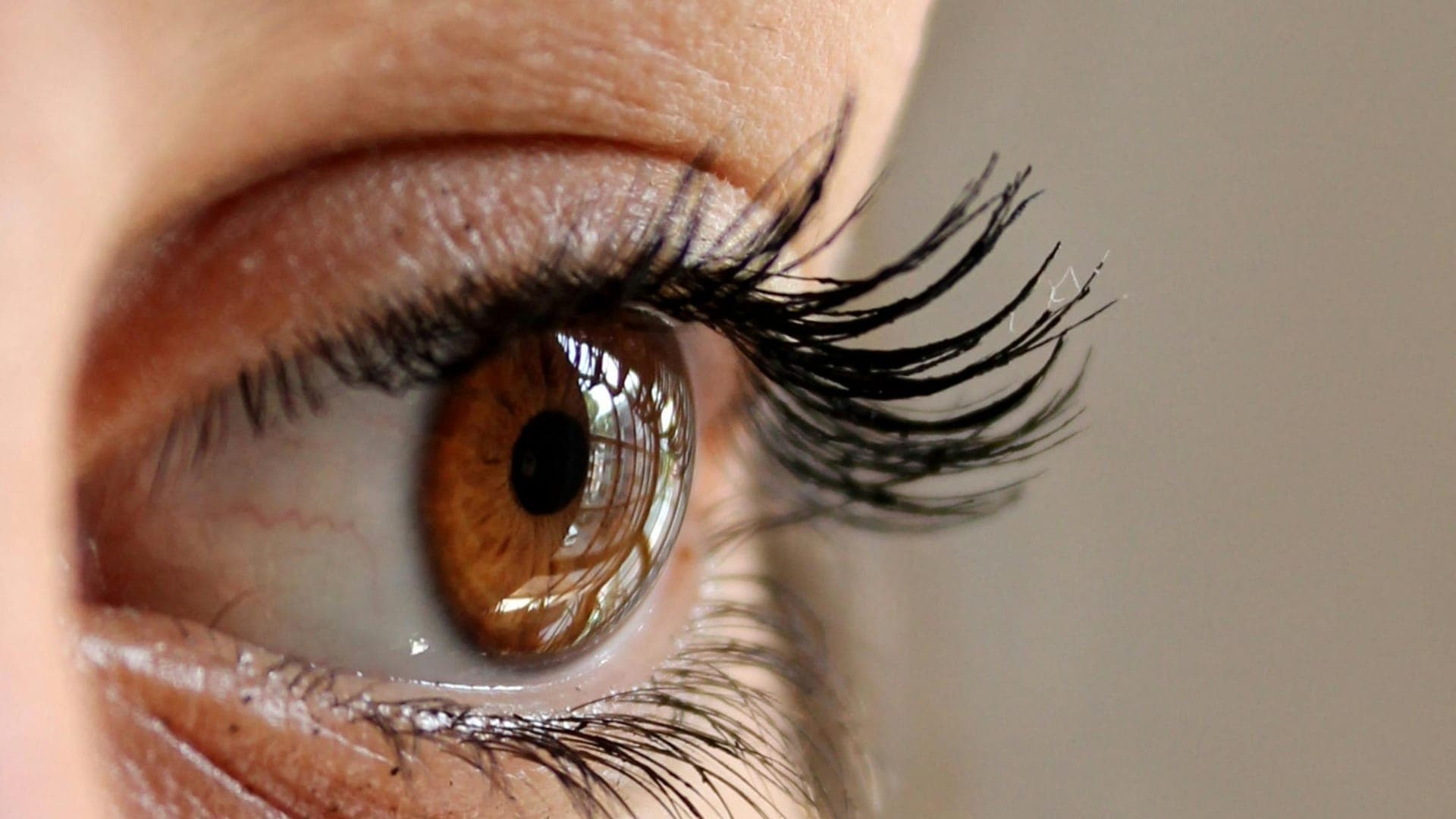Close-up of a human eye with brown iris and long eyelashes.