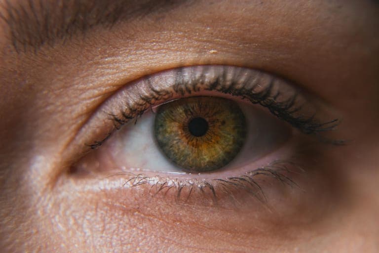 Close-up of a human eye with green and brown irises and long eyelashes.