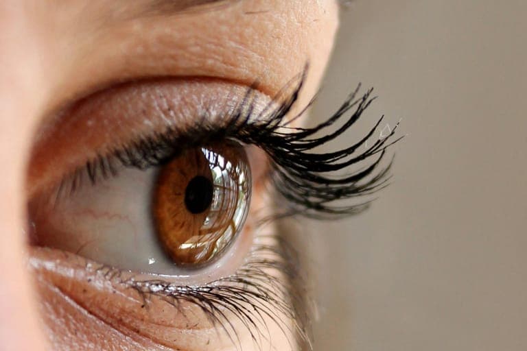 Close-up of a human eye with brown iris and long eyelashes.
