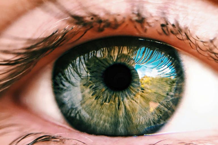 Close-up of an eye with a green iris and a dark pupil, surrounded by eyelashes.