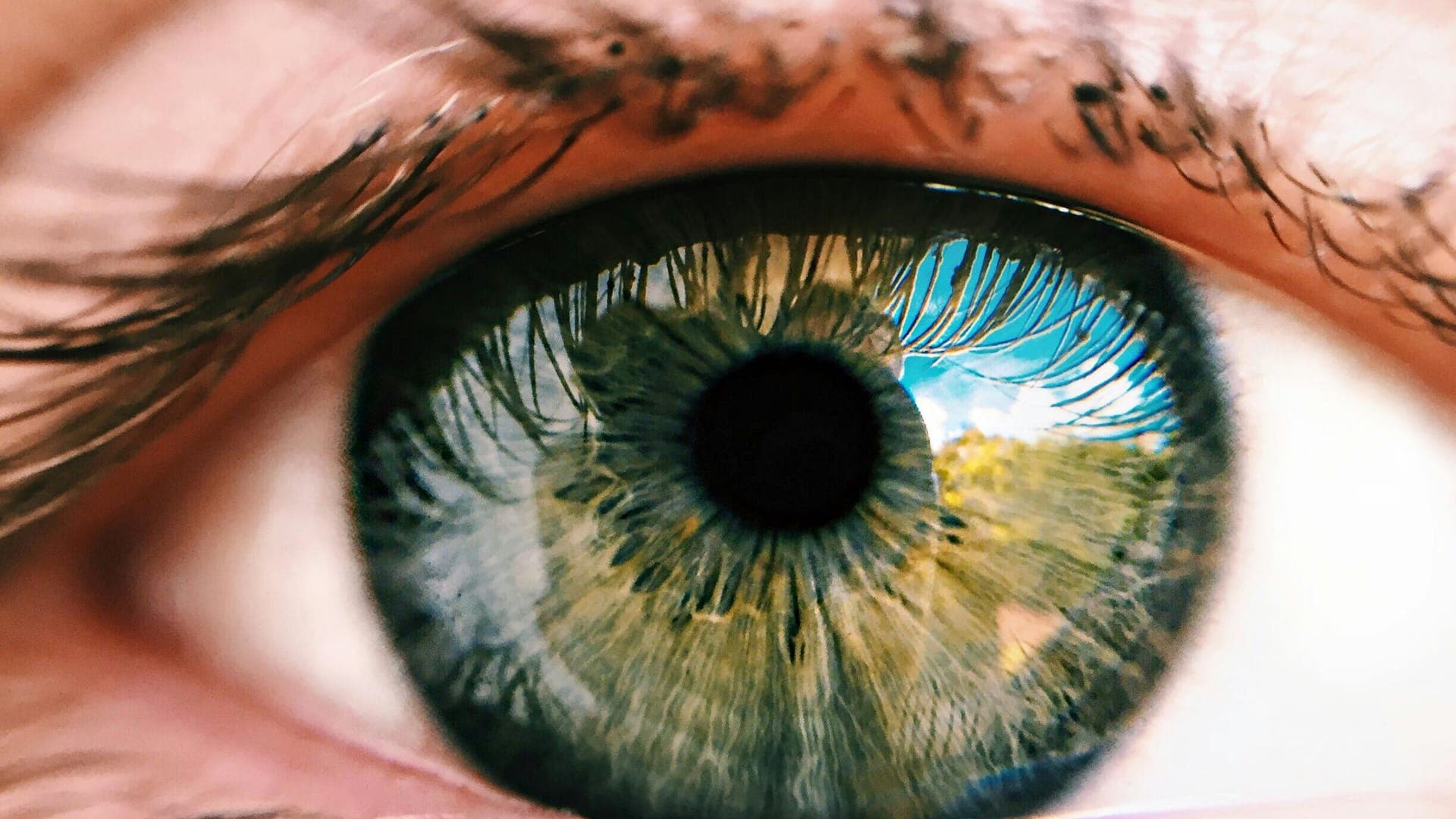 Close-up of an eye with a green iris and a dark pupil, surrounded by eyelashes.